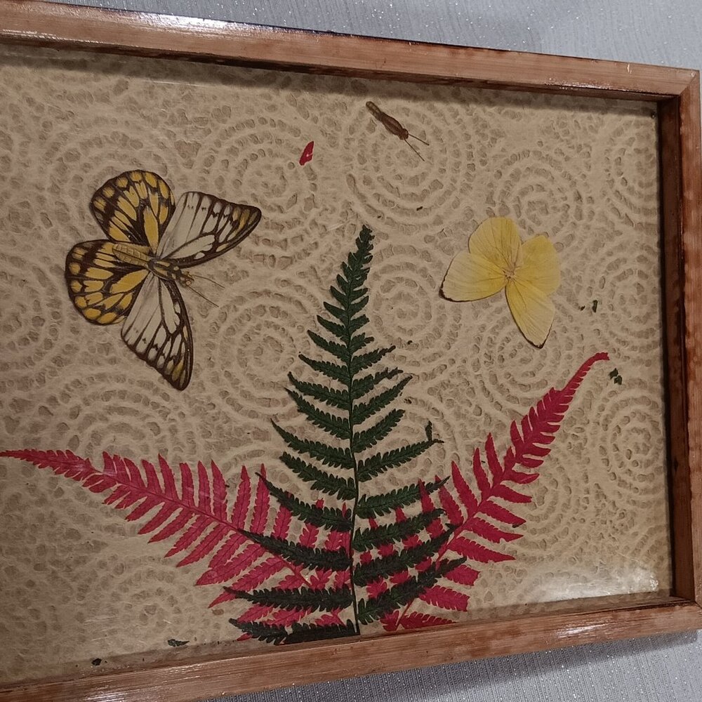 Vintage Pressed Dried plants ferns Butterfly Wood Bamboo Dresser Vanity Tray